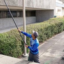 Window Cleaning Rincon 6