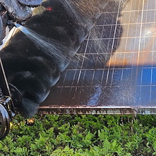 South-Carolina-Solar-Farm-Cleaning 1